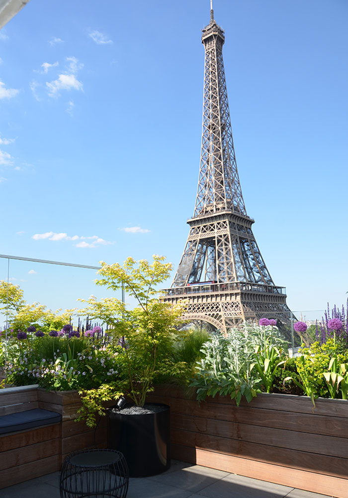 terrasse jardin paris 92 réalisation aménagement paysager