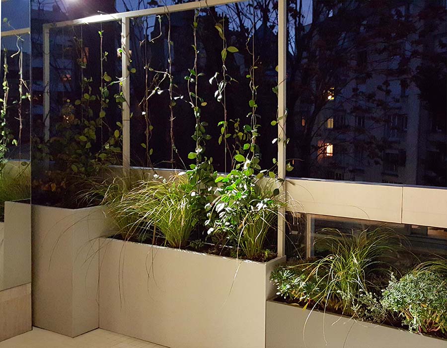 Am nagement D un Patio Et De Balcons Paris Variations V g tales