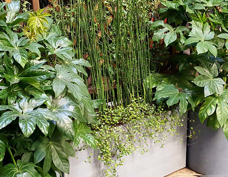 Décoration Du Jardin Dans La Cour D'un Immeuble Dans Une Ville Provinciale  Une Hutte Sur Une Jambe Des Bâtonnets De Quels Piauleme Image stock - Image  du appartement, jardin: 183365737