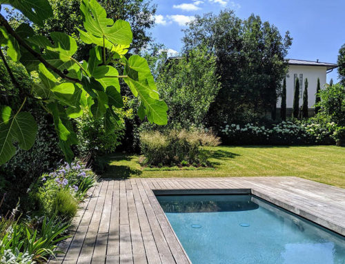 Rénovation d’un jardin contemporain