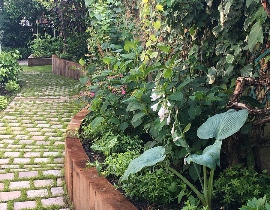 Choix plantes arbres jardin terrasse mur végétal cour patio