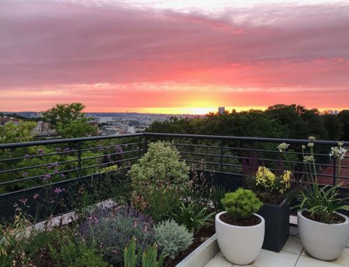 Conception et réalisation d’un toit terrasse