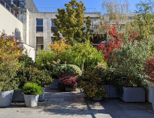 Conception et réalisation d’une terrasse dans Paris 6ème