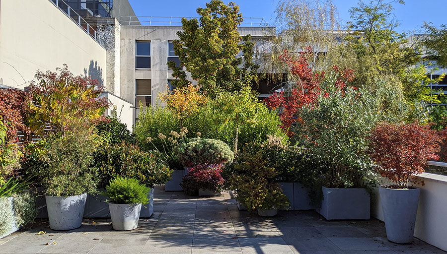 Paysagiste paris terrasse amenagement