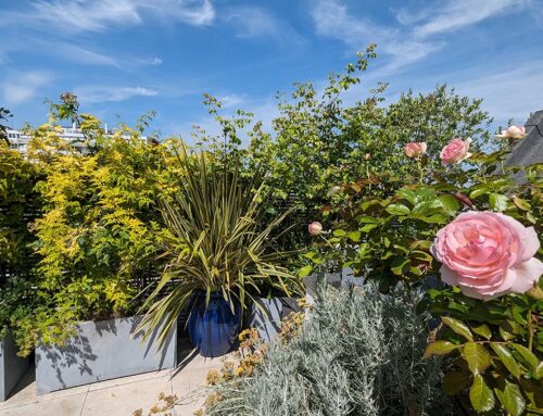 Aménagement d’un rooftop luxuriant à la lisière du Bois de Boulogne (92)