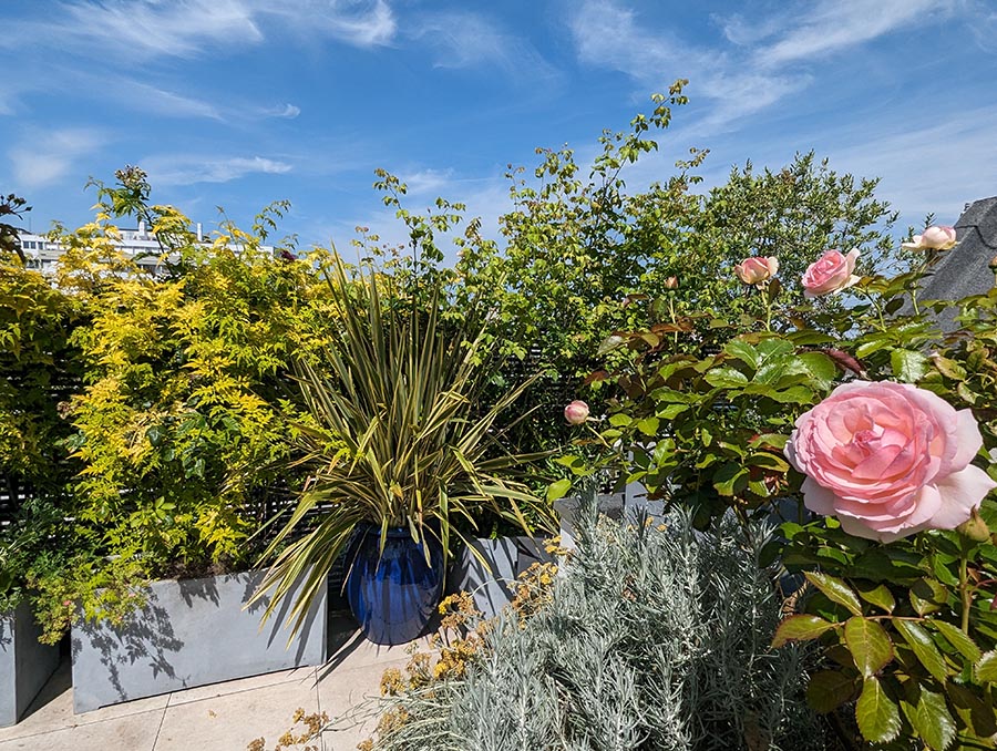 Amenagement paysager naturel