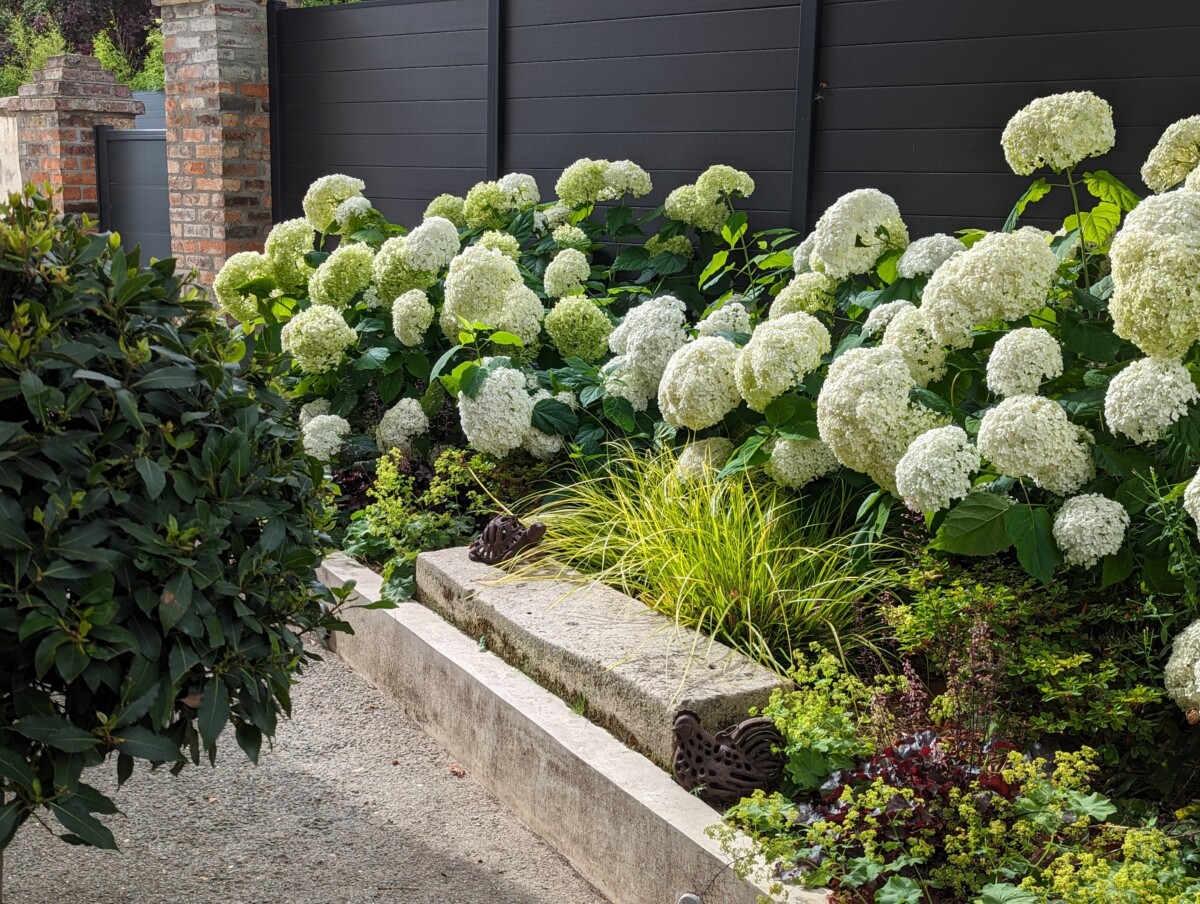Plantation contemporain paysagiste Plantation contemporain paysagiste